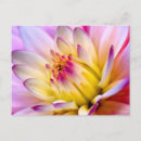 Search for multi colour postcards Artistic