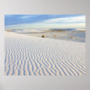 Search for white sand art New mexico