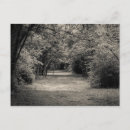 Search for hiking photography Landscapes
