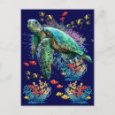 Search for diving cards invites Ocean life