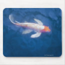 Search for carp mousepads Water