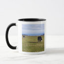 Search for cows in field mugs Grazing