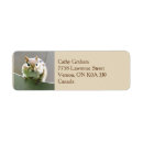 Search for chipmunk return address labels Wildlife