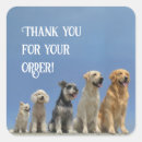 Search for dog thank you stickers Chihuahua
