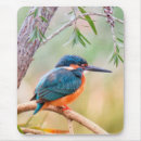Search for profile mousepads Nature