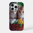 Search for cuddly cases Cute