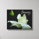 Search for motivational quotes flower art Peace