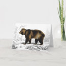 Search for book illustrations cards Bear