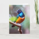 Search for multi coloured cards Nature