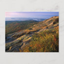 Search for acadia national park postcards Bar harbour