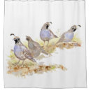 Search for california shower curtains State