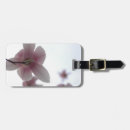 Search for detailed photography Flower
