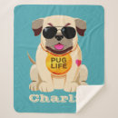 Search for pug blankets Illustration