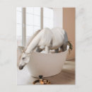 Search for bathroom postcards Tub