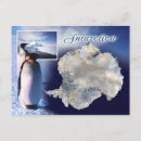 Search for penguin image postcards Antarctica