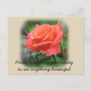 Search for salmon pink postcards Roses