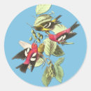 Search for white wing stickers Bird