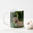 Search for maltipoo mugs Puppy