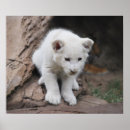 Search for lion kid art Cute