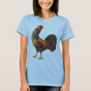 Search for chicken singlets Rooster