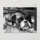 Search for monochrome photography postcards White