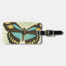 Search for bug collage accessories Butterflies