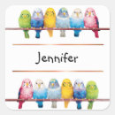Search for budgerigar stickers Blue