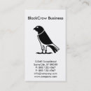 Search for bird lovers Animal lover