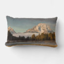 Search for moose cushions River