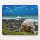 Search for underwater mousepads Background