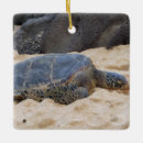 Search for turtle christmas tree decorations Nature
