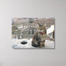 Search for single photography Cat