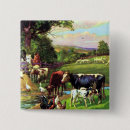 Search for cow and chicken badges Sheep