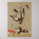 Search for bird life posters Fruit