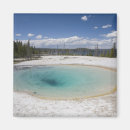 Search for steam magnets Scenic