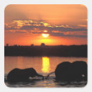 Search for herding stickers Animal