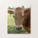 Search for dairy farm puzzles Milk
