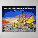 Search for ancients posters Forest