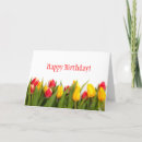 Search for tulips birthday cards Girly