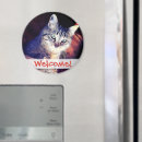 Search for kitty magnets Pets