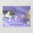 Search for funny cat easter cards Humour