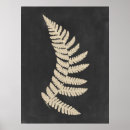 Search for botanical posters Fern