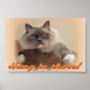 Search for ragdoll cat art Animals