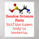 Search for physiological posters Human