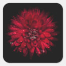 Search for backyard gift wrap Floral