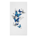 Search for blue morpho butterfly posters Butterflies