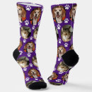 Search for purple socks Pet lover