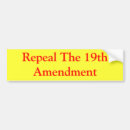 Search for 19th amendment Voting