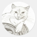 Search for ragdoll cat stickers Kitty