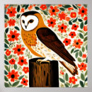 Search for barn owl posters Cute